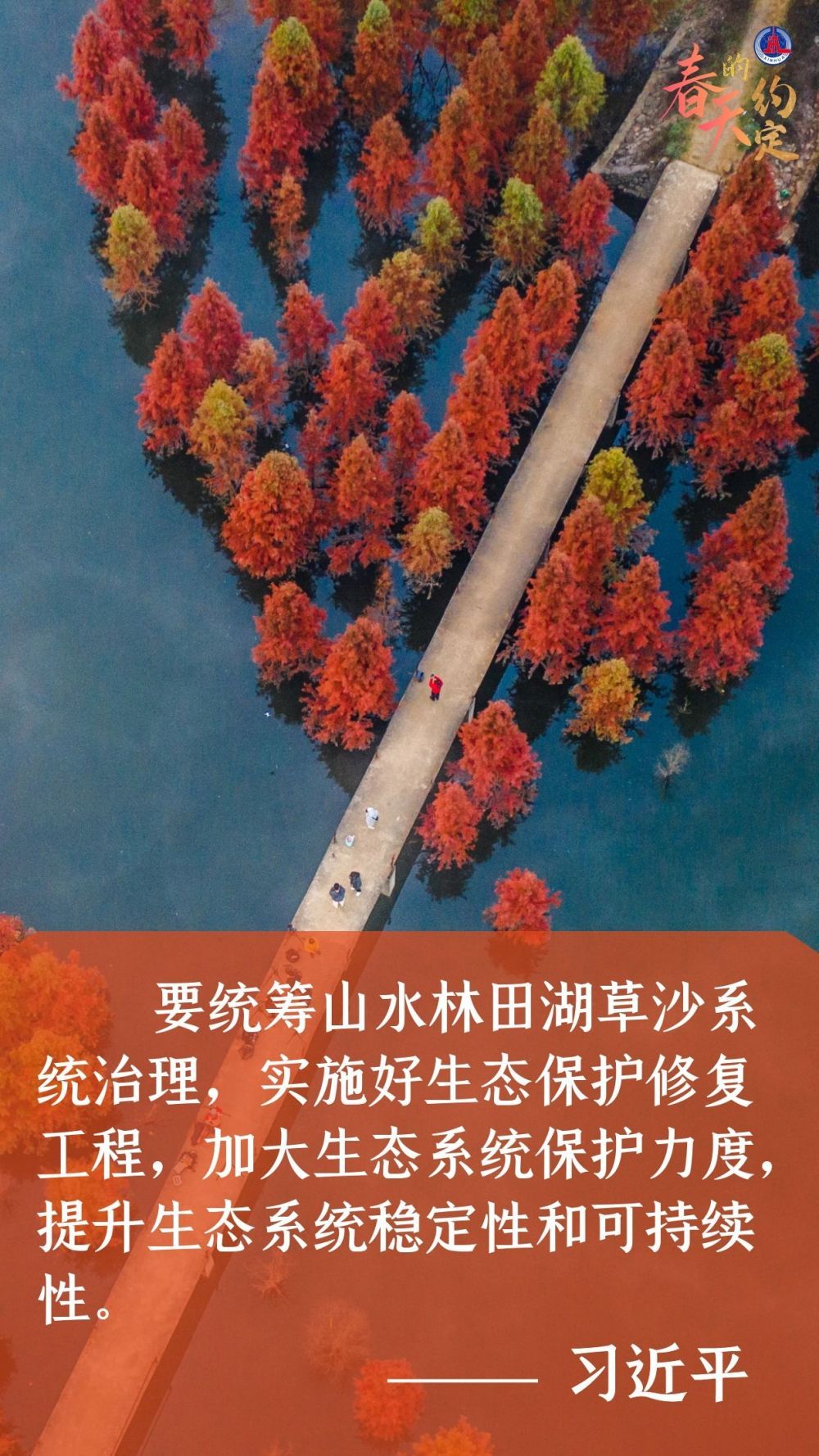 學(xué)習(xí)原聲|春天的約定