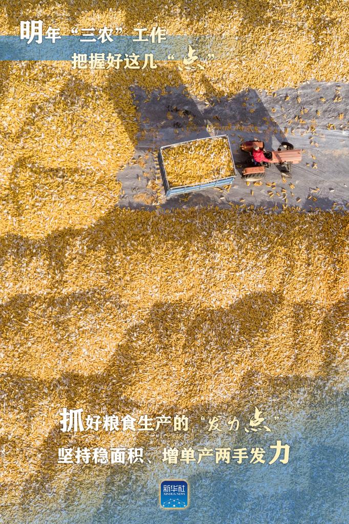 明年“三農(nóng)”工作，這幾個(gè)“點(diǎn)”要把握好