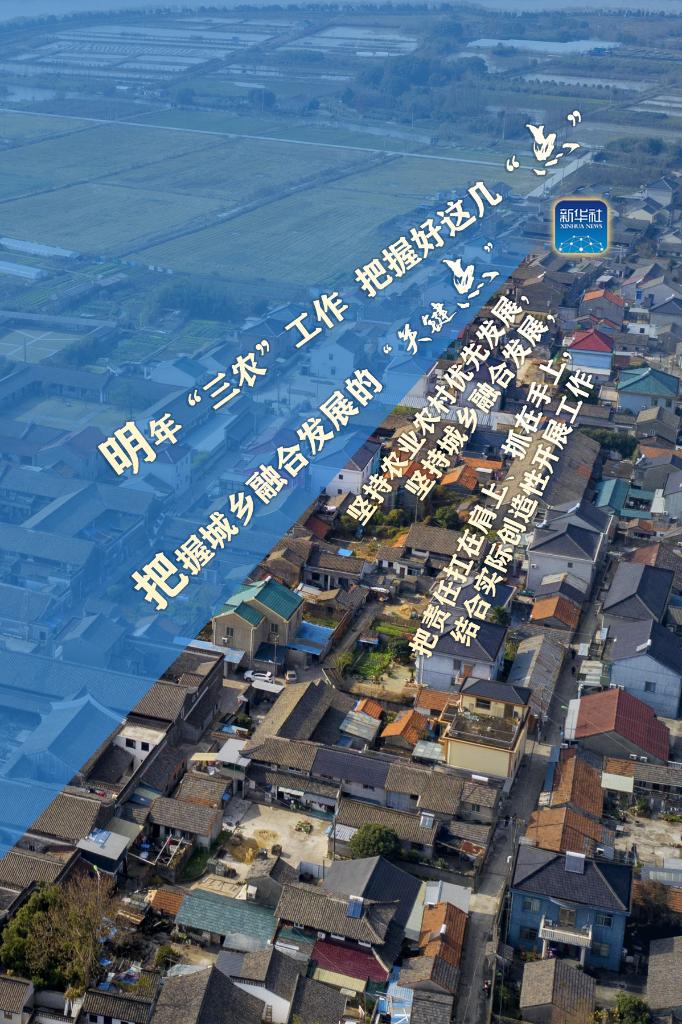 明年“三農(nóng)”工作，這幾個(gè)“點(diǎn)”要把握好