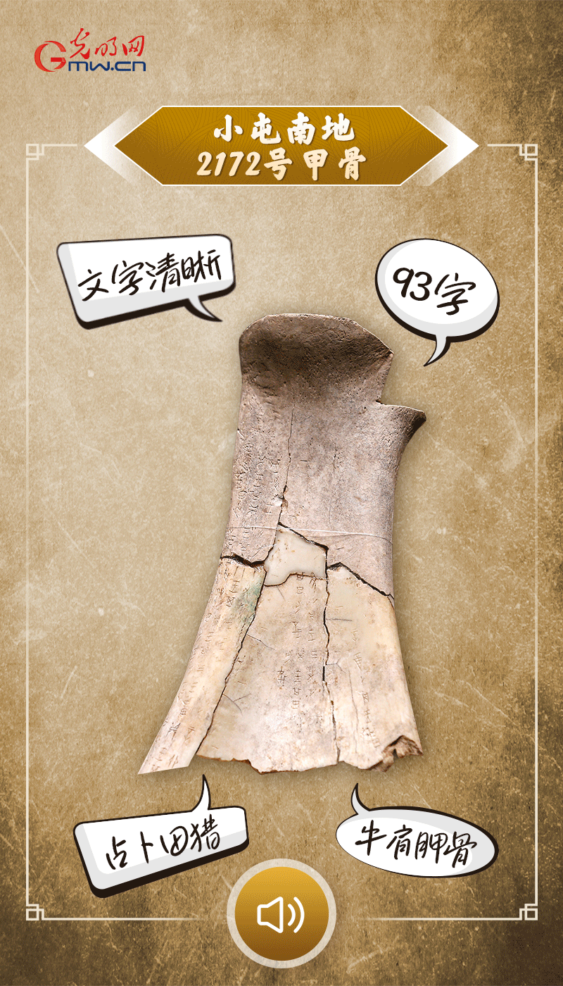 文物會說話 | 殷墟博物館新館開館啦，帶你奔赴“千年之約”