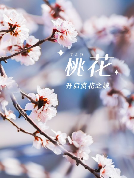 追花指南第三期！別等了 今天就去和桃花撞個滿懷