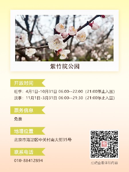 追花指南第六期！杏花雨 楊柳風(fēng) 北京最美的杏花在這里