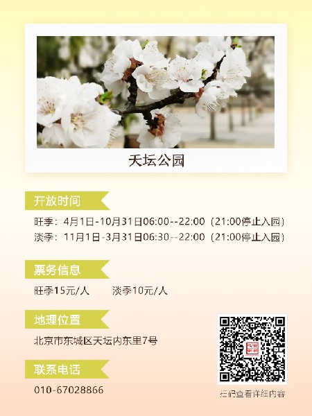 追花指南第六期！杏花雨 楊柳風(fēng) 北京最美的杏花在這里