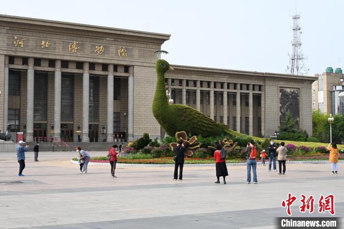 圖為游客在花壇前拍照打卡?！〉杂鸺?攝