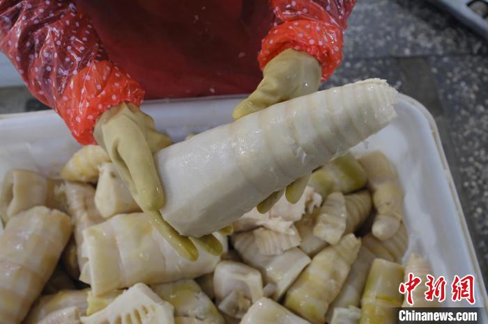 圖為整根腌制后撈出的酸筍?！⒖÷?攝