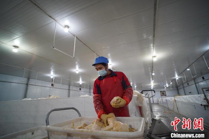 圖為一名工人正在查看酸筍腌制效果?！№f國政 攝