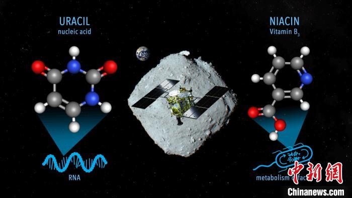 國際最新研究稱，近地小行星“龍宮”上發(fā)現(xiàn)尿嘧啶等核酸堿基