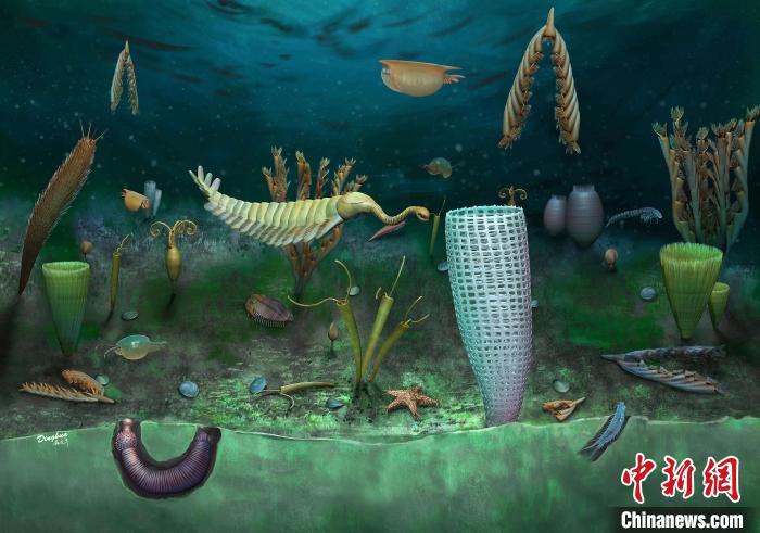 Castle Bank動物群藝術(shù)復原圖(Yang Dinghua繪制)?！∈┢樟指瘛ぷ匀?供圖