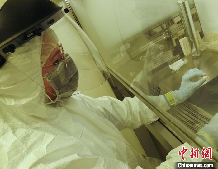 Elena Essel在凈室中處理鹿牙墜飾(圖片來自馬克斯·普朗克演化人類學研究所)?！∈┢樟指瘛ぷ匀?供圖