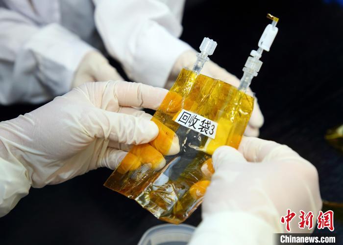 隨神舟十五號返回地面的空間科學(xué)實(shí)驗(yàn)樣品?！≈锌圃嚎臻g應(yīng)用中心 供圖