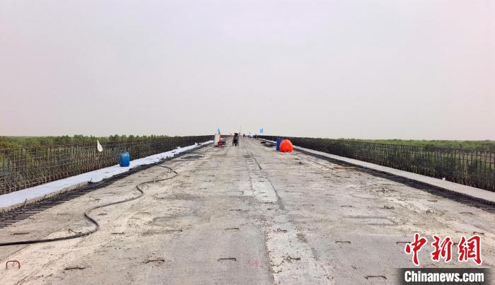 工作人員正在橋面上緊張有序地施工?！∈酚窠?攝