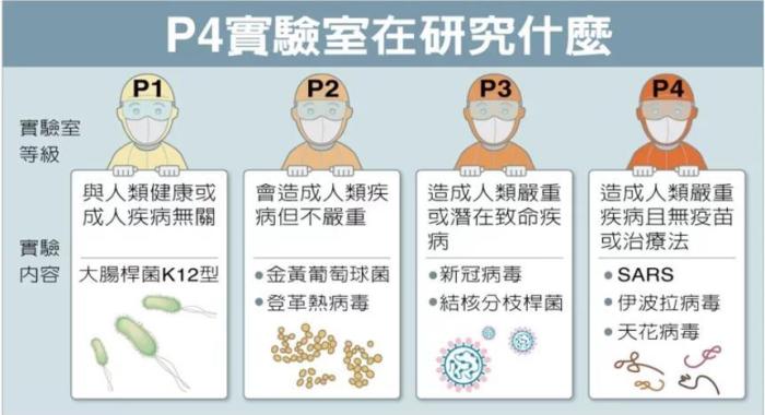 P4實驗室在研究什么。臺灣聯(lián)合新聞網資料圖