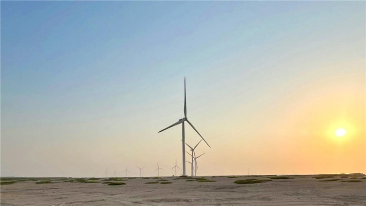 圖為阿聯(lián)酋風(fēng)電示范項目在阿布扎比薩爾巴尼亞斯島上的風(fēng)電場。 中國電建供圖