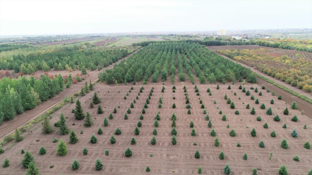 這是2023年9月11日在哈薩克斯坦首都阿斯塔納拍攝的一處植物種質(zhì)資源苗圃（無人機(jī)照片）。新華社發(fā)（法爾哈特·圖克諾夫 攝）