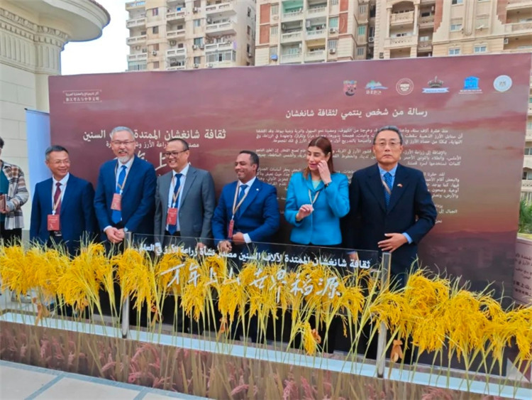 圖為現(xiàn)場嘉賓為特展啟幕。開羅中國文化中心供圖