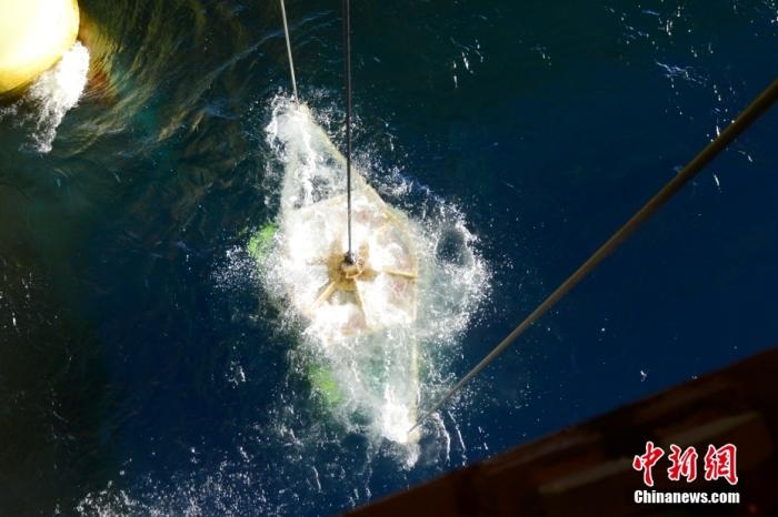 機(jī)器人入水瞬間。<a target='_blank' href='/' _fcksavedurl='/' ><p  align=