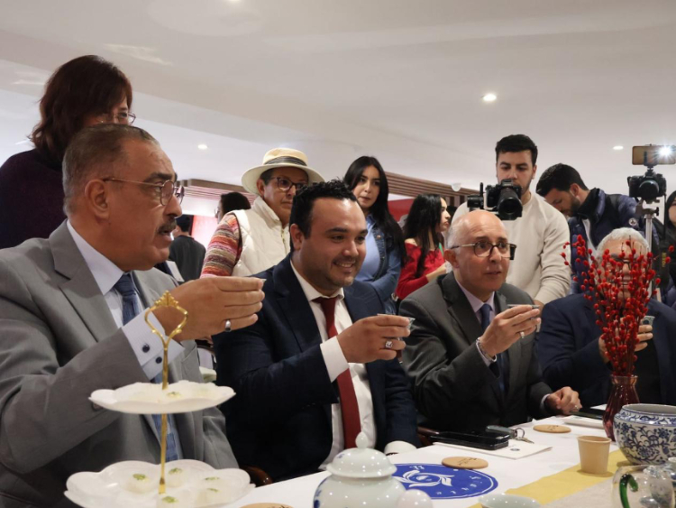 觀眾興致勃勃地體驗茶藝。陳芷珊攝