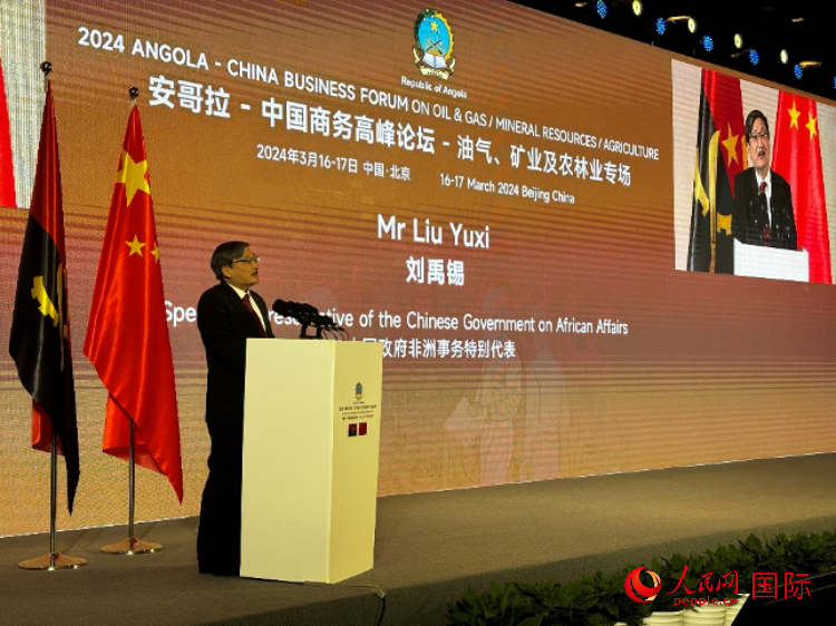 中國(guó)政府非洲事務(wù)特別代表劉禹錫。人民網(wǎng)記者 張榮攝