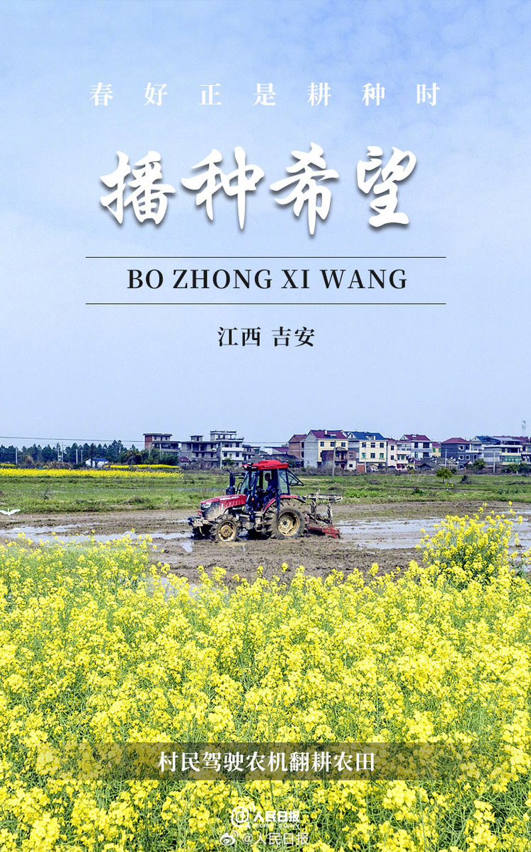 生機(jī)盎然！用課本封面打開(kāi)春耕畫(huà)卷