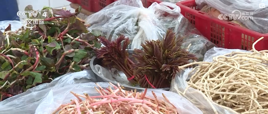 “春日經(jīng)濟(jì)”熱力十足 “賞花+”融合煥新創(chuàng)造發(fā)展場景式消費新機(jī)遇