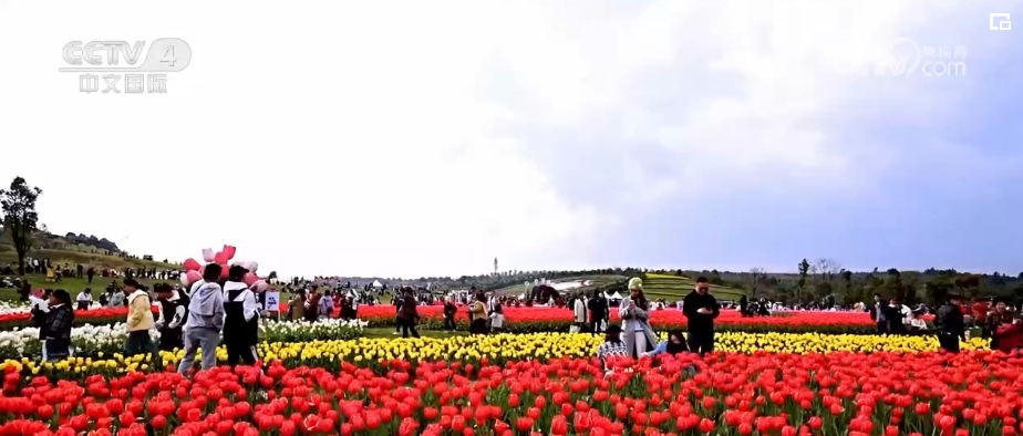 “春日經(jīng)濟(jì)”熱力十足 “賞花+”融合煥新創(chuàng)造發(fā)展場景式消費新機(jī)遇