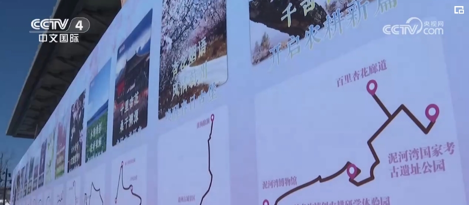 “春日經(jīng)濟(jì)”熱力十足 “賞花+”融合煥新創(chuàng)造發(fā)展場景式消費新機(jī)遇