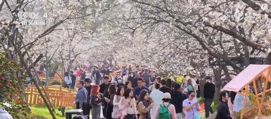 “春日經(jīng)濟(jì)”熱力十足 “賞花+”融合煥新創(chuàng)造發(fā)展場景式消費新機(jī)遇