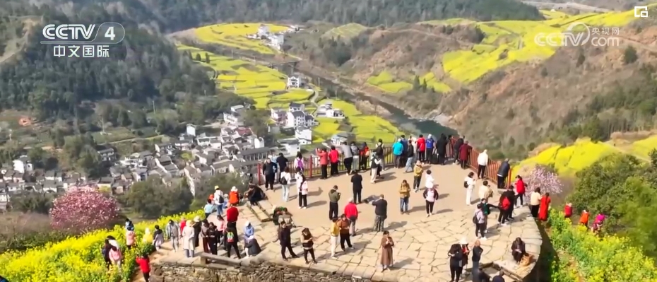 “春日經(jīng)濟(jì)”熱力十足 “賞花+”融合煥新創(chuàng)造發(fā)展場景式消費新機(jī)遇