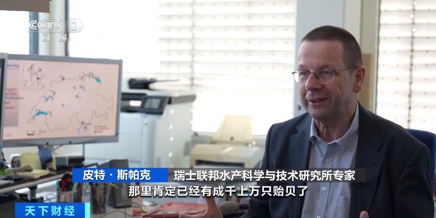 瑞士多個湖泊遭外來物種夸加貽貝入侵 生態(tài)系統與基礎設施遭破壞