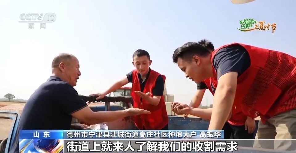 “三夏”生產(chǎn)思維導(dǎo)圖安排上了！還有政府大院等你來“曬”