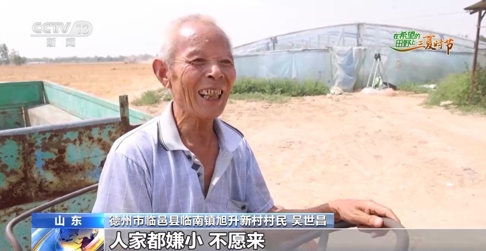 “三夏”生產(chǎn)思維導(dǎo)圖安排上了！還有政府大院等你來“曬”