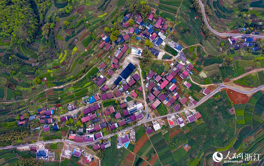 4月1日，紹興市新昌縣東茗鄉(xiāng)下巖貝村風(fēng)光秀麗，茶園旖旎。人民網(wǎng) 章勇濤攝