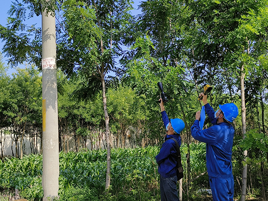 工作人員進(jìn)行紅外測溫及超聲波局部放電檢測。 王亮攝