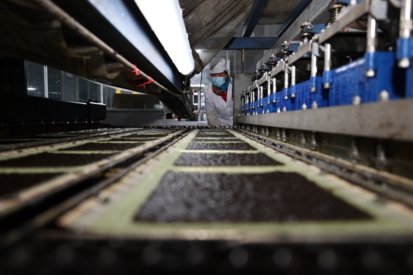 柘汪紫菜產(chǎn)業(yè)園內(nèi)入駐企業(yè)的紫菜生產(chǎn)線。贛榆區(qū)委宣傳部供圖