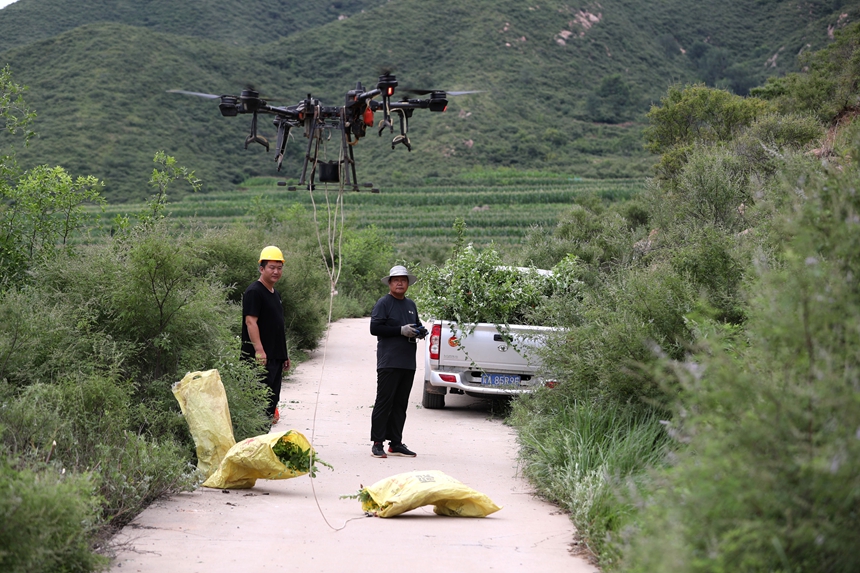 在石家莊市井陘縣吳家窯鄉(xiāng)長(zhǎng)峪村荒山造林現(xiàn)場(chǎng)，一名無(wú)人機(jī)手操控?zé)o人機(jī)運(yùn)輸樹苗。王保龍攝