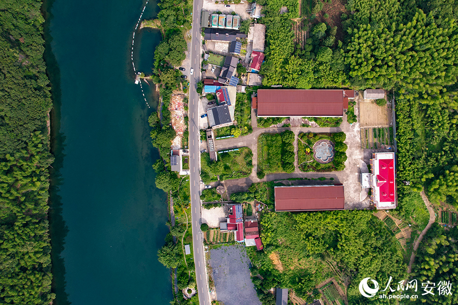 儲(chǔ)家灘民宿區(qū)。人民網(wǎng)記者 苗子健攝