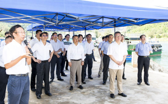 2019年6月21日上午，省長沈曉明率省政府班子成員在三亞鐵爐港調(diào)研項(xiàng)目規(guī)劃建設(shè)情況。海南日?qǐng)?bào)記者 宋國強(qiáng) 攝