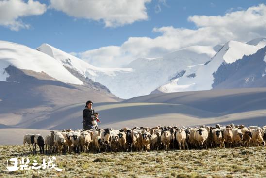 治愈你的不止曠野，更是真實的生活