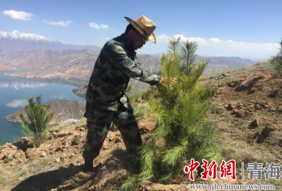 圖為尖扎干部職工生態(tài)建設(shè)和環(huán)境保護現(xiàn)場。尖宣 供圖