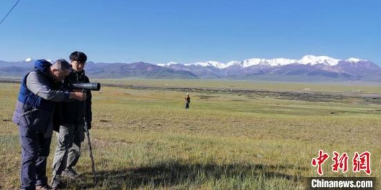 圖為工作人員正在進行黑頸鶴衛(wèi)星跟蹤和環(huán)志工作?！∑钸B山國家公園青海省管理局供圖 攝