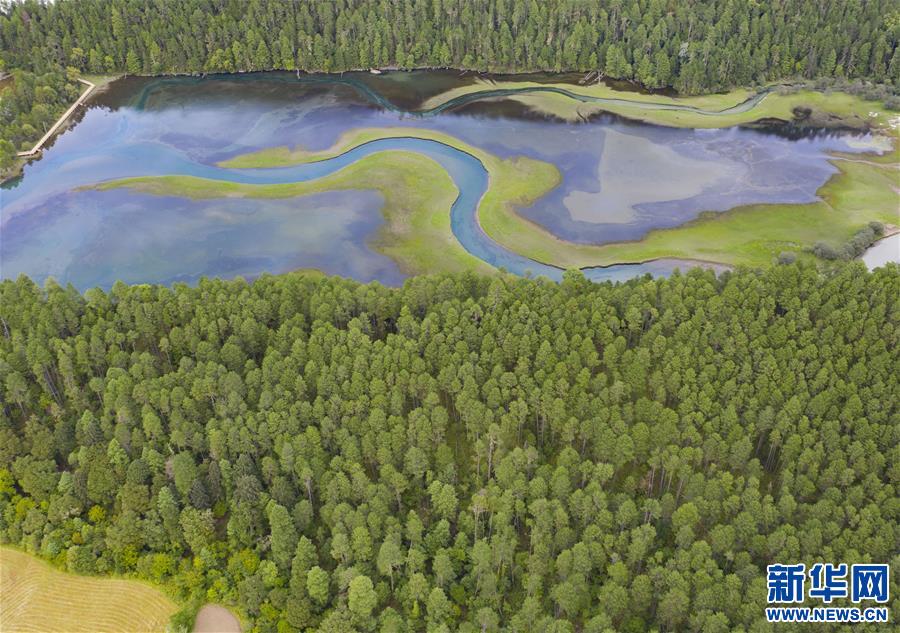 (新華視界)(3)隱秘的高原草湖