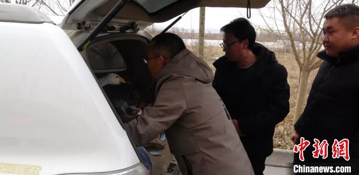 圖為民警救助國家二級(jí)保護(hù)動(dòng)物——大天鵝。青海省公安廳森林警察總隊(duì)供圖