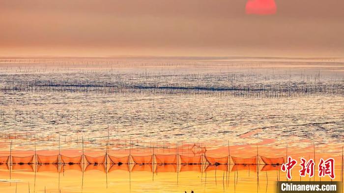 江蘇鹽城被譽為金灘銀蕩、魚米之鄉(xiāng)。　鹽城市委宣傳部供圖