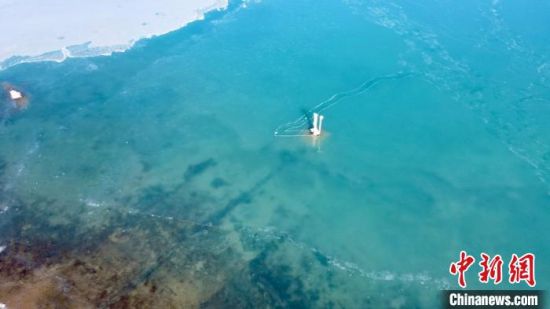 圖為冬日青海湖?！±罱瓕帯z