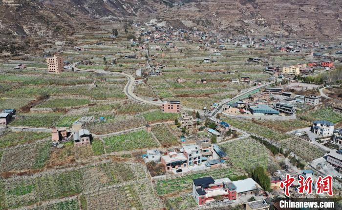 潔白的李花與村寨交相輝映，勾勒出一幅美麗的和諧生態(tài)畫卷。　何清海 攝