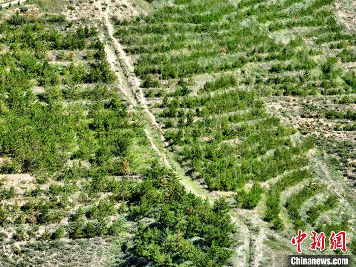 航拍建行青海省分行綠化區(qū)?！∑钤鲚?攝