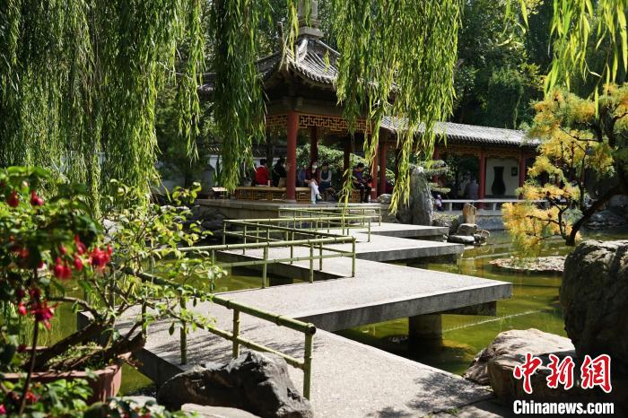 圖為西寧園林植物園秋日風(fēng)景別有韻味?！●R銘言 攝