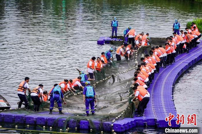 捕撈現(xiàn)場。　主辦方供圖