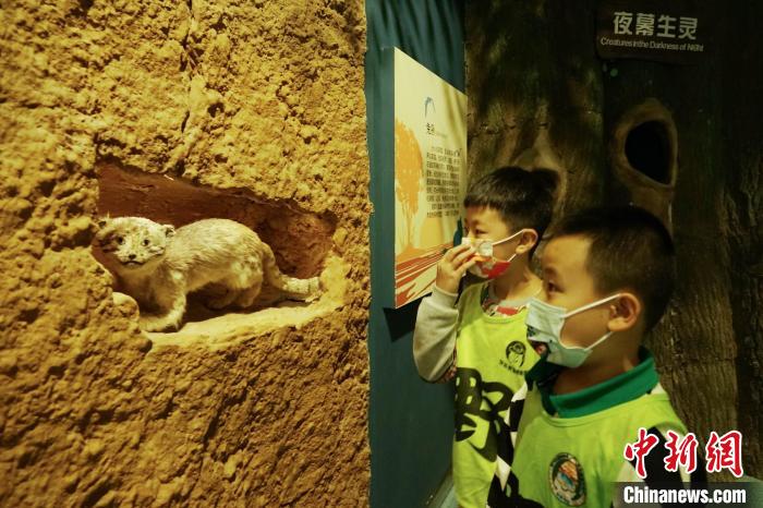 圖為小朋友在青海西寧湟水國家濕地公園科普館內(nèi)參觀學(xué)習(xí)?！●R銘言 攝