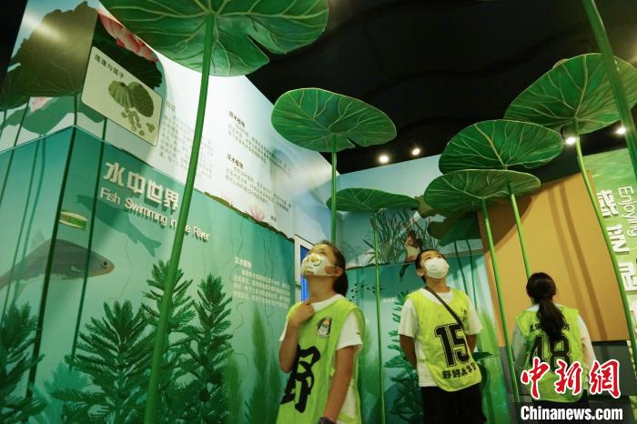 圖為小朋友在青海西寧湟水國家濕地公園科普館內(nèi)參觀學(xué)習(xí)?！●R銘言 攝